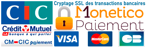 paiement monetico cic logo